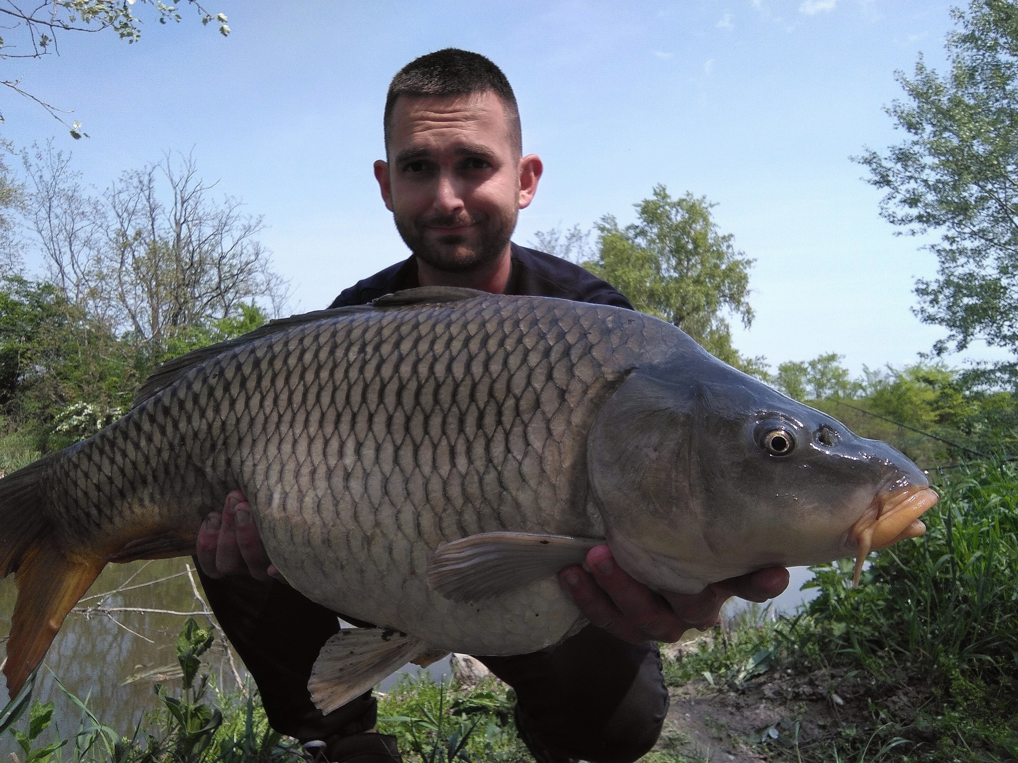 Olihen-Chobotnica Boilies